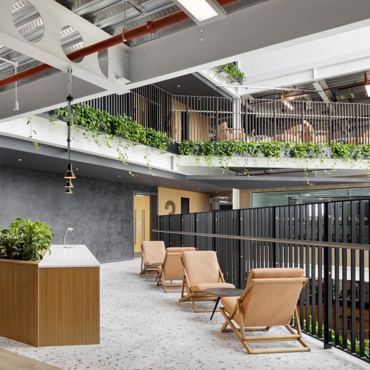 Naturecore: Enhancing Wellbeing with Biophilic Office Design | Oktra