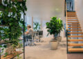 Why is biophilic design the future for office spaces?