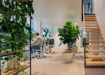 Why is biophilic design the future for office spaces?