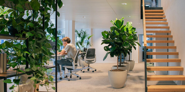 Why is biophilic design the future for office spaces?