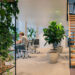 Why is biophilic design the future for office spaces?