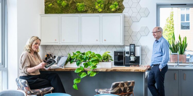 Green Office Design: A Guide to Sustainable Office Fit Outs